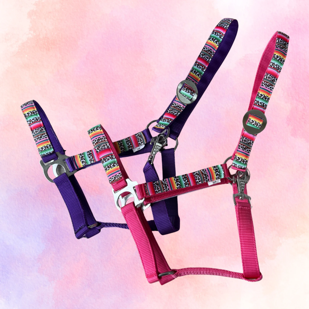 Happy Halsters x FMH - Colourful Panther Exclusive halster div. kleuren