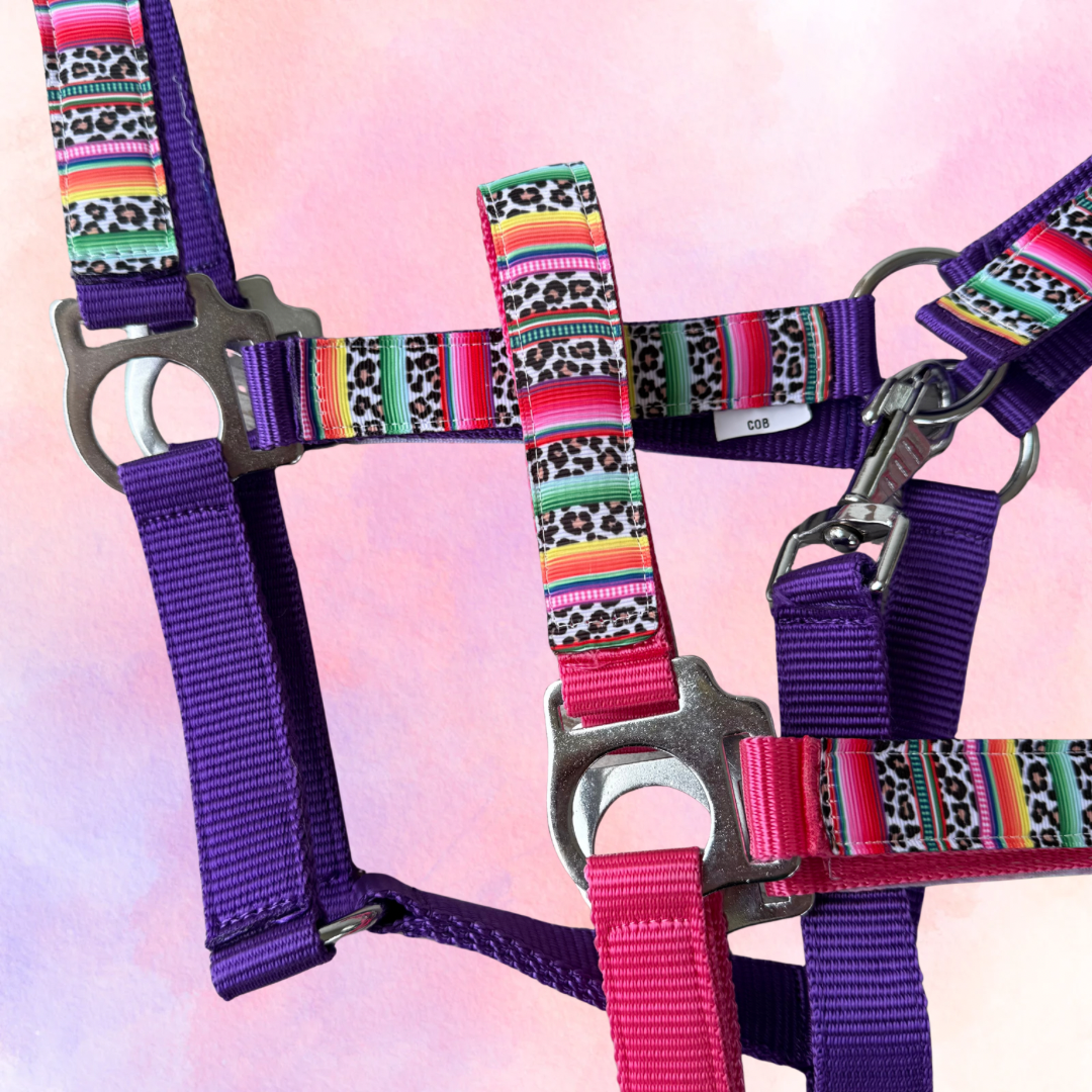 Happy Halsters x FMH - Colourful Panther Exclusive halster div. kleuren