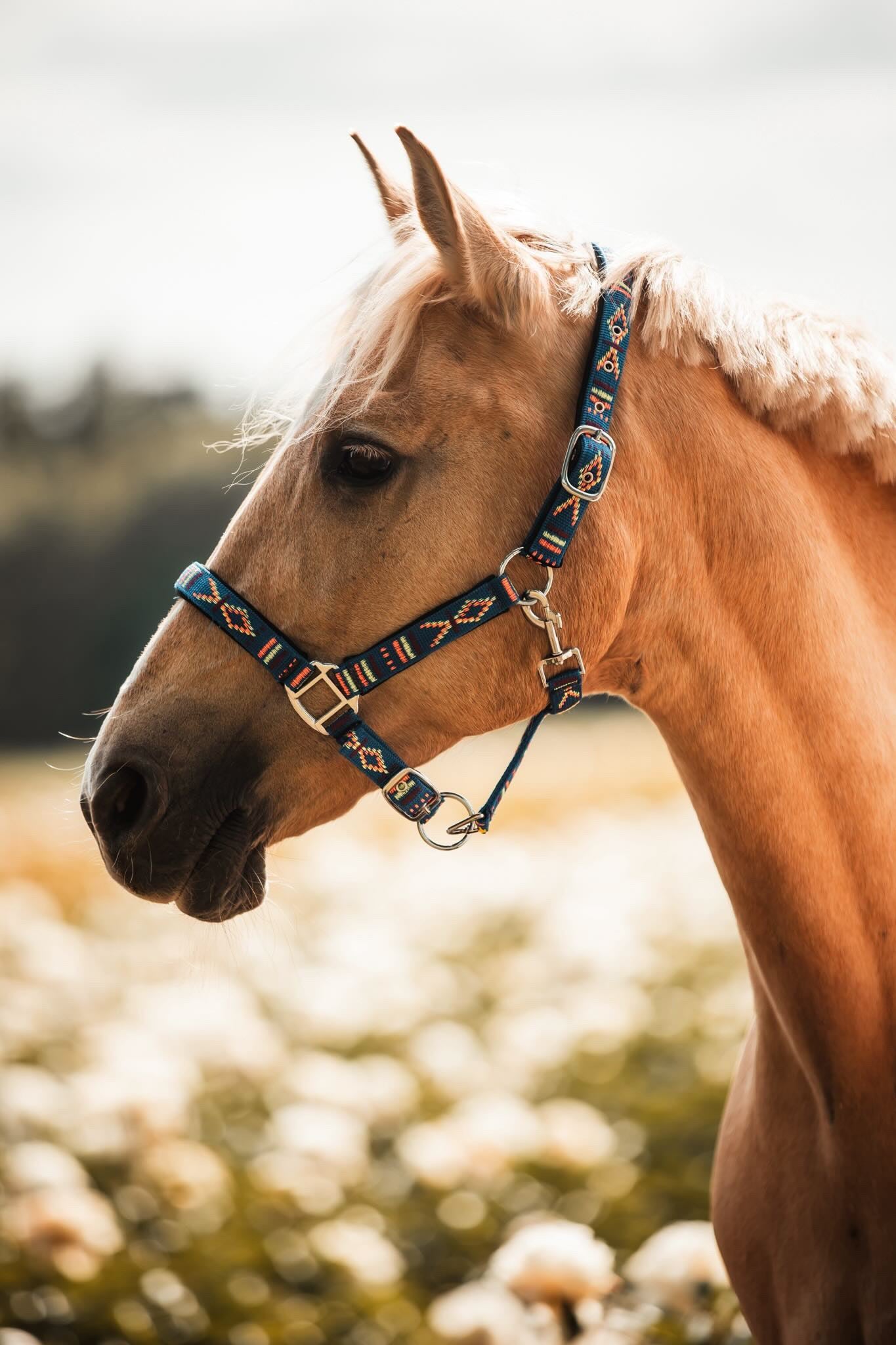 FMH - Geborduurd nylon halster met padding ‘Nomad Spirit’ blauw
