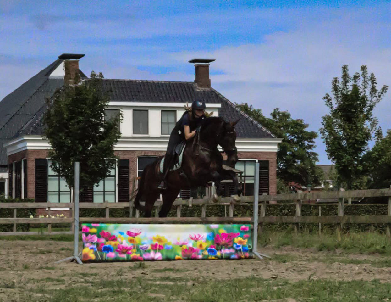 Jumpbanners - Hinderniszeil Standard Wild Flowers