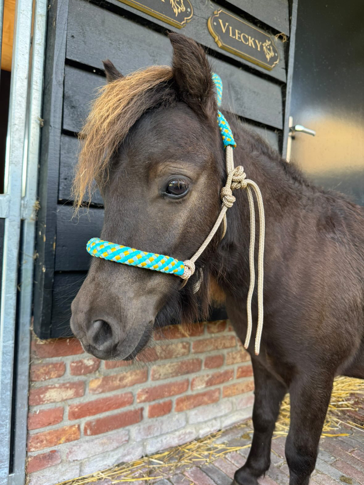 Het Paardenatelier - Touwhalster set halster + halstertouw ‘Summer Vibes’ beige/ turquoise/ geel