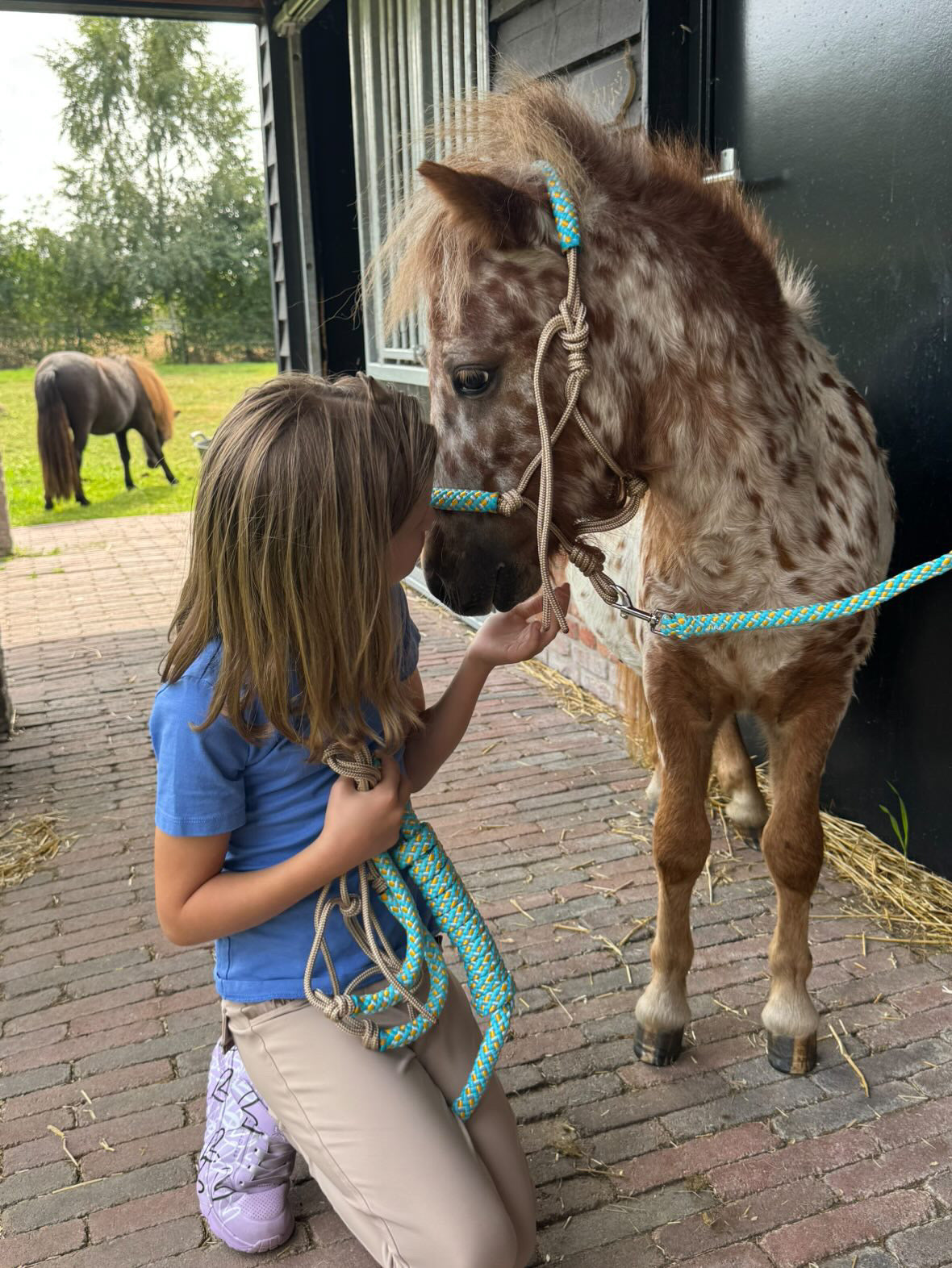 Het Paardenatelier - Touwhalster set halster + halstertouw ‘Summer Vibes’ beige/ turquoise/ geel