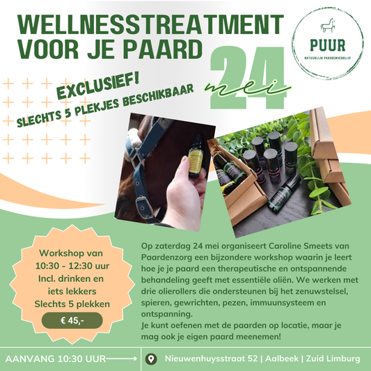 Workshop Wellnesstreatment | Paardenzorg