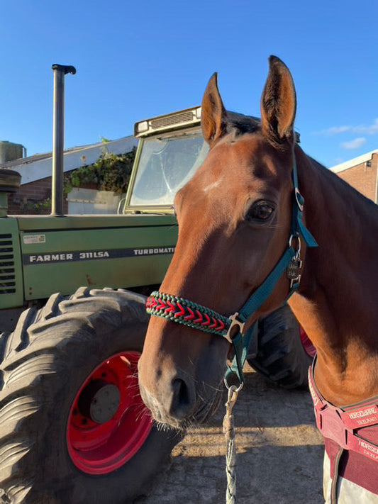 Handgemaakte paardenhalsters - Geknoopt halster ‘Fendt Power’ Groen/rood/zwart