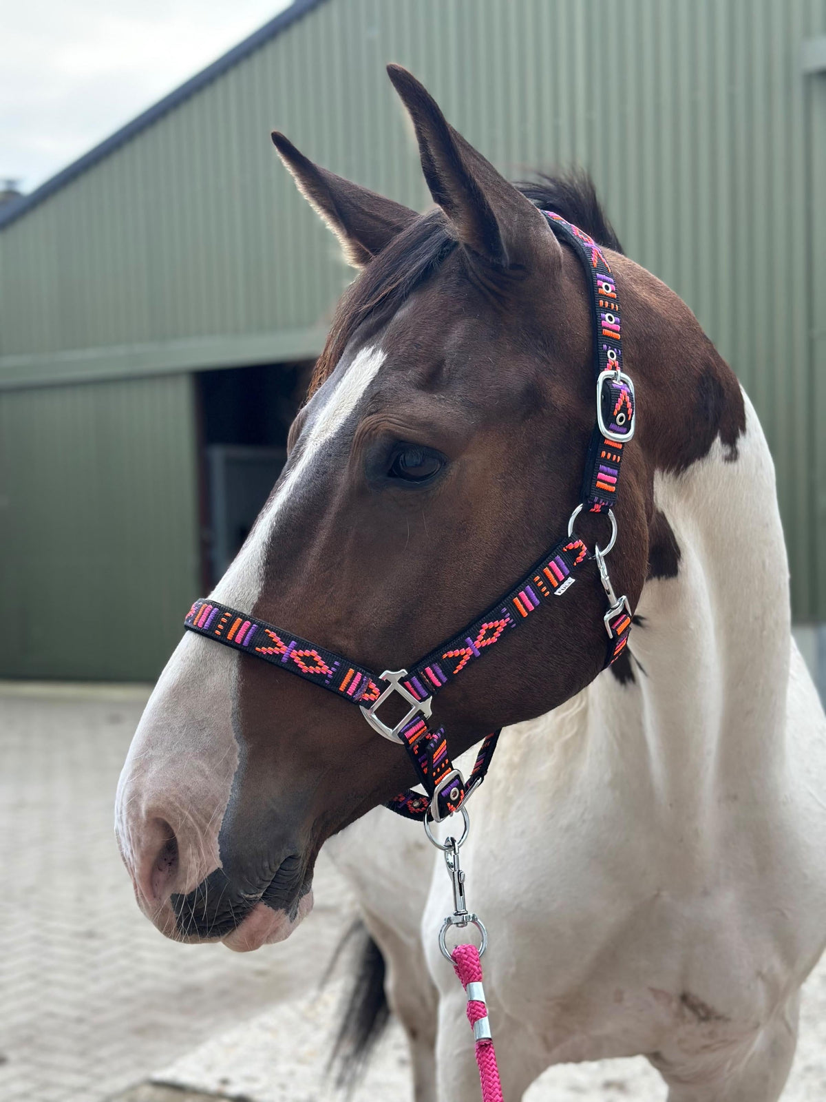 FMH - Geborduurd nylon halster met padding ‘Nomad Spirit Neon’