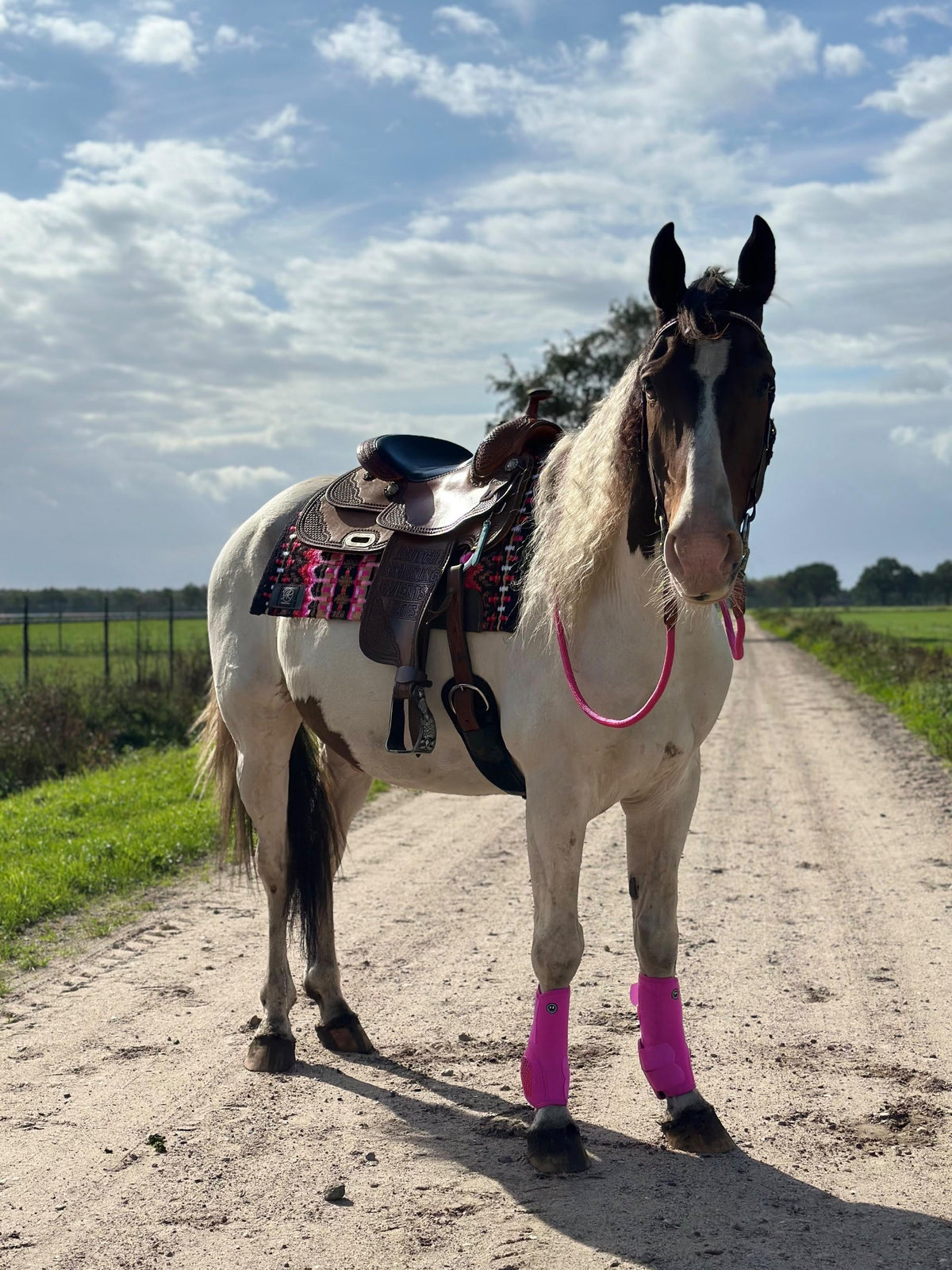 FMH - Gesloten teugels van touw met lederen detail en clip ‘Rope Rein Pink’