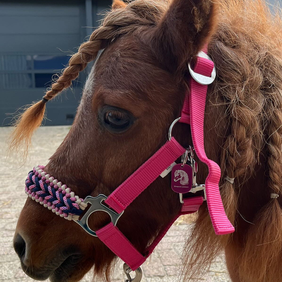 Handgemaakte paardenhalsters - Geknoopt halster ‘Hasta la Vista’ Roze/blauw