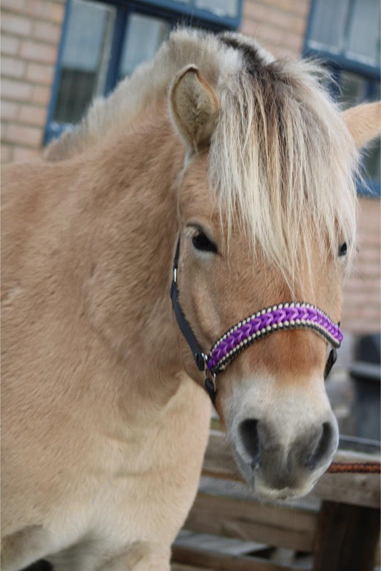 Handgemaakte paardenhalsters - Geknoopt halster ‘Purple Rain’ Antraciet/paars