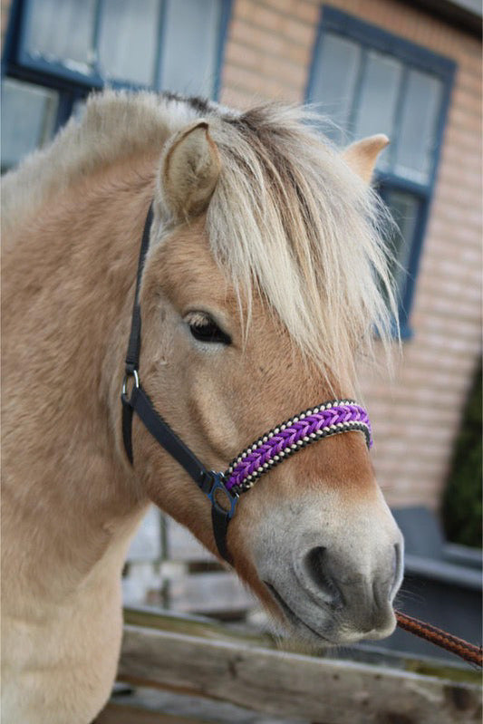 Handgemaakte paardenhalsters - Geknoopt halster ‘Purple Rain’ Antraciet/paars