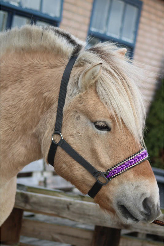 Handgemaakte paardenhalsters - Geknoopt halster ‘Purple Rain’ Antraciet/paars