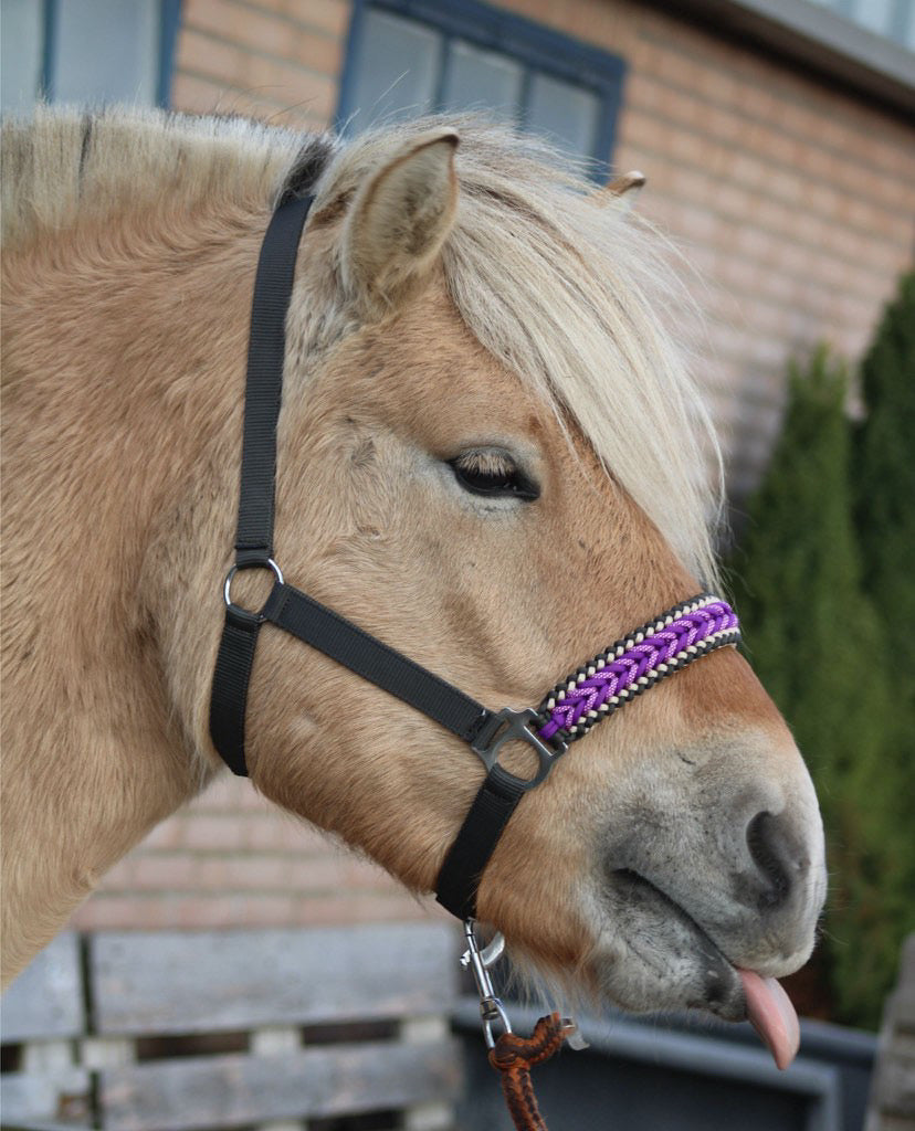 Handgemaakte paardenhalsters - Geknoopt halster ‘Purple Rain’ Antraciet/paars
