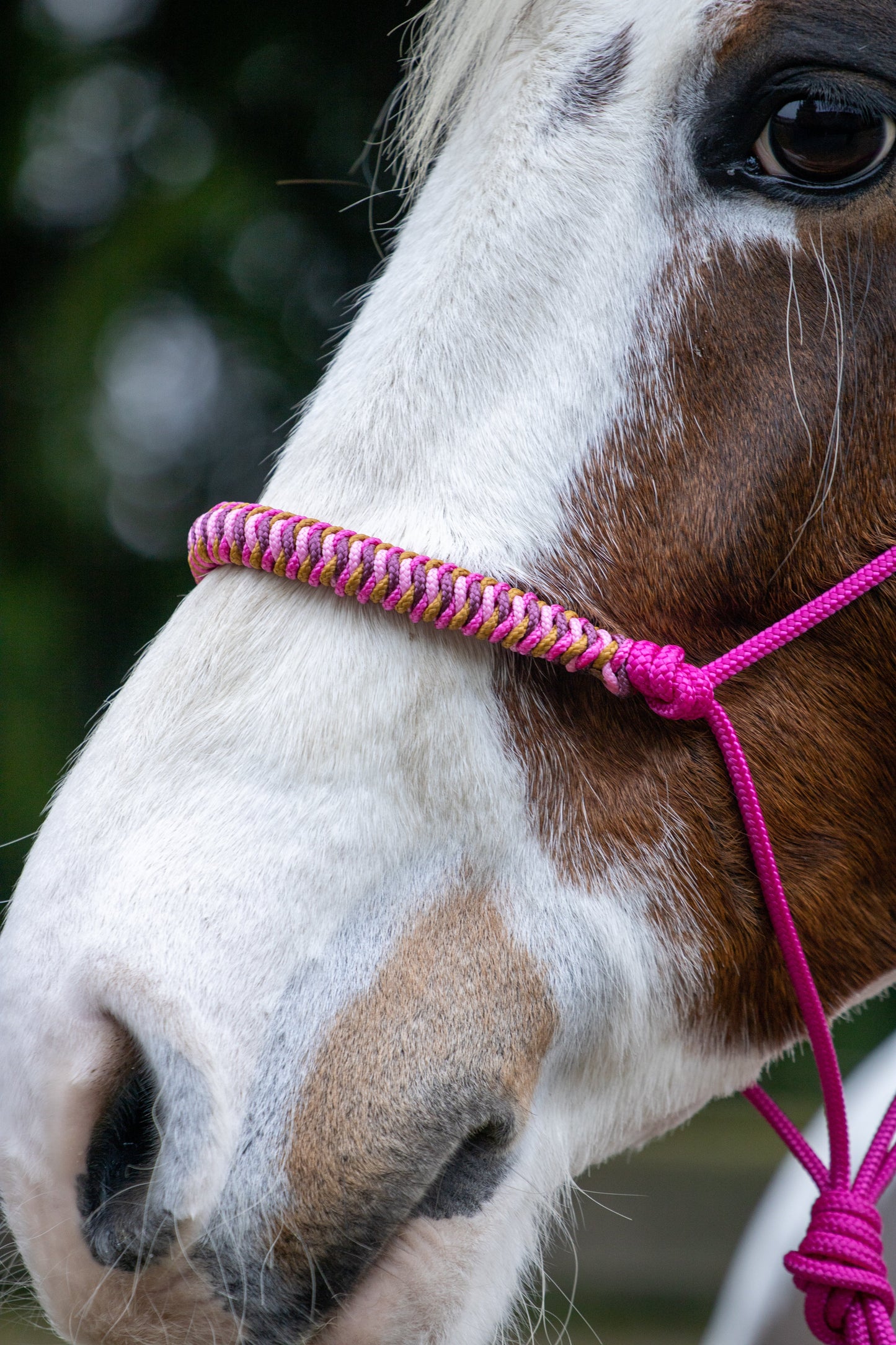 Touwhalster viënna neusband fuchsia, beige, karamel en bordeaux