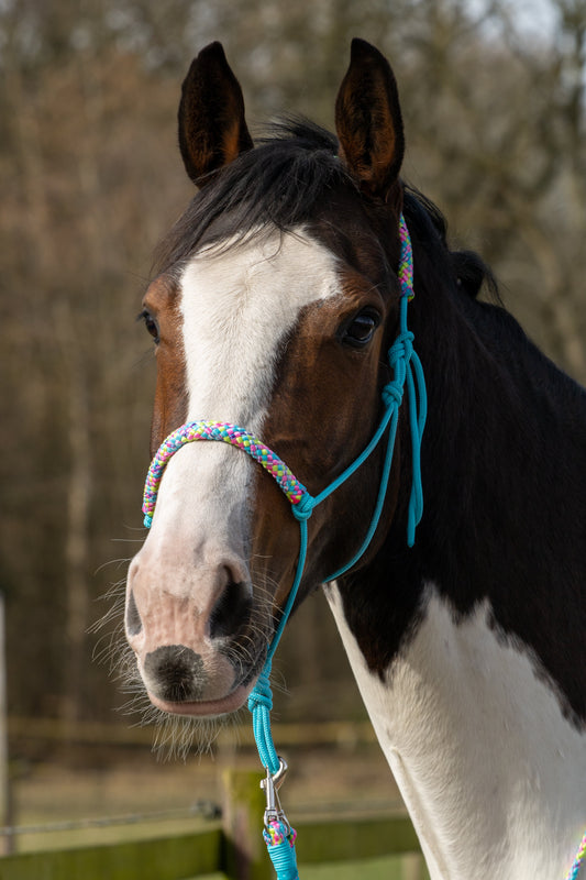 Touwhalster turquoise met hawaii mix