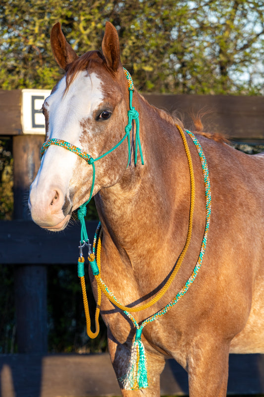 Touwhalster set green karamel