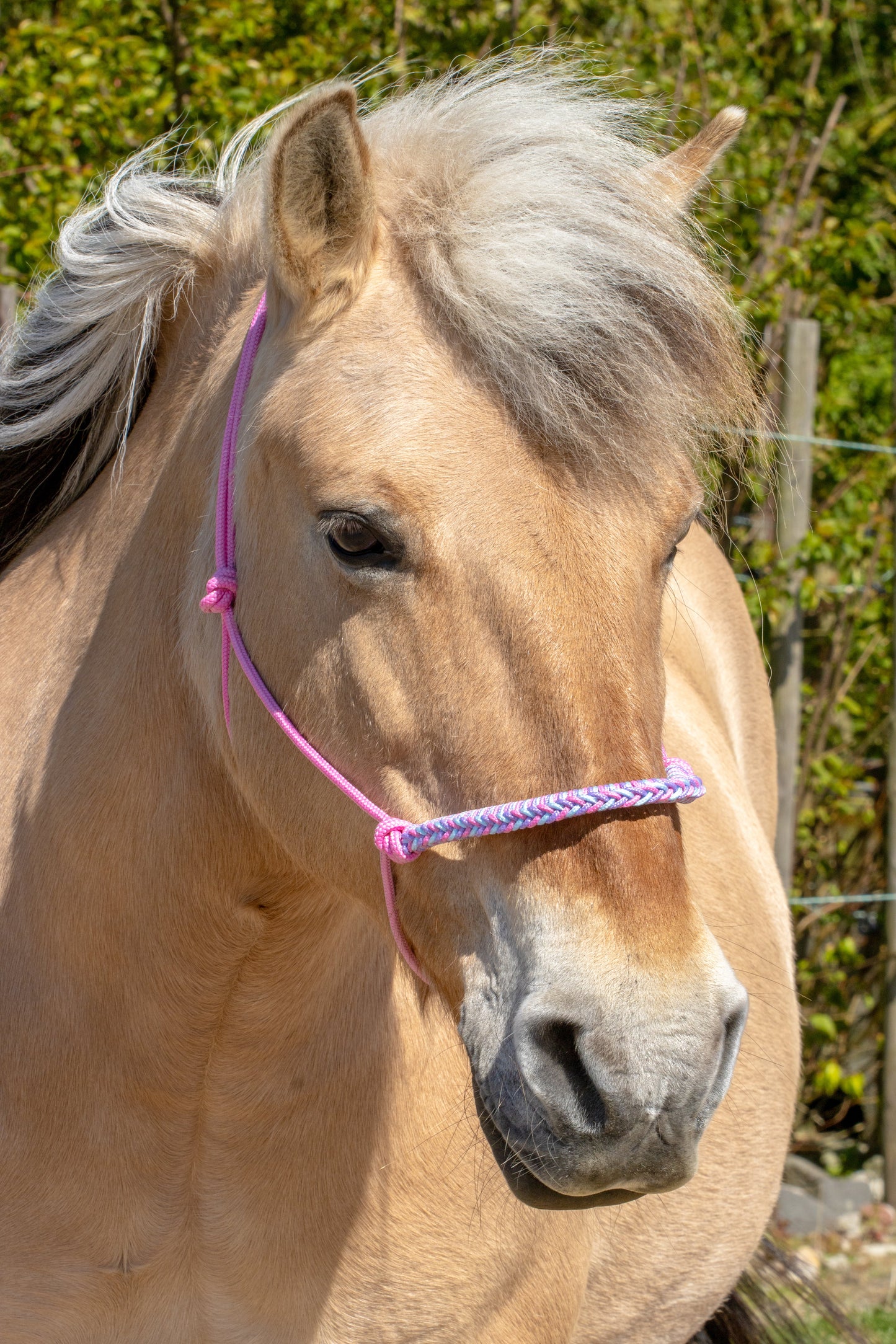 Touwhalster gevlochten neusband babyroze, babyblauw en lila