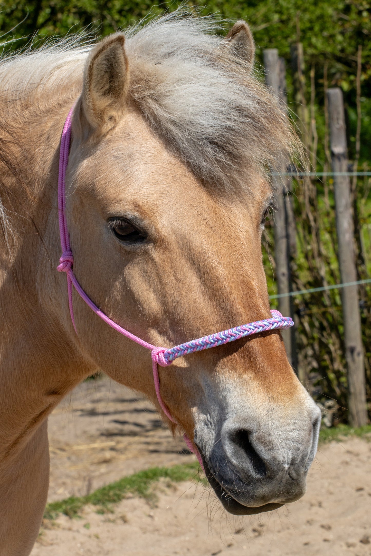 Touwhalster gevlochten neusband babyroze, babyblauw en lila