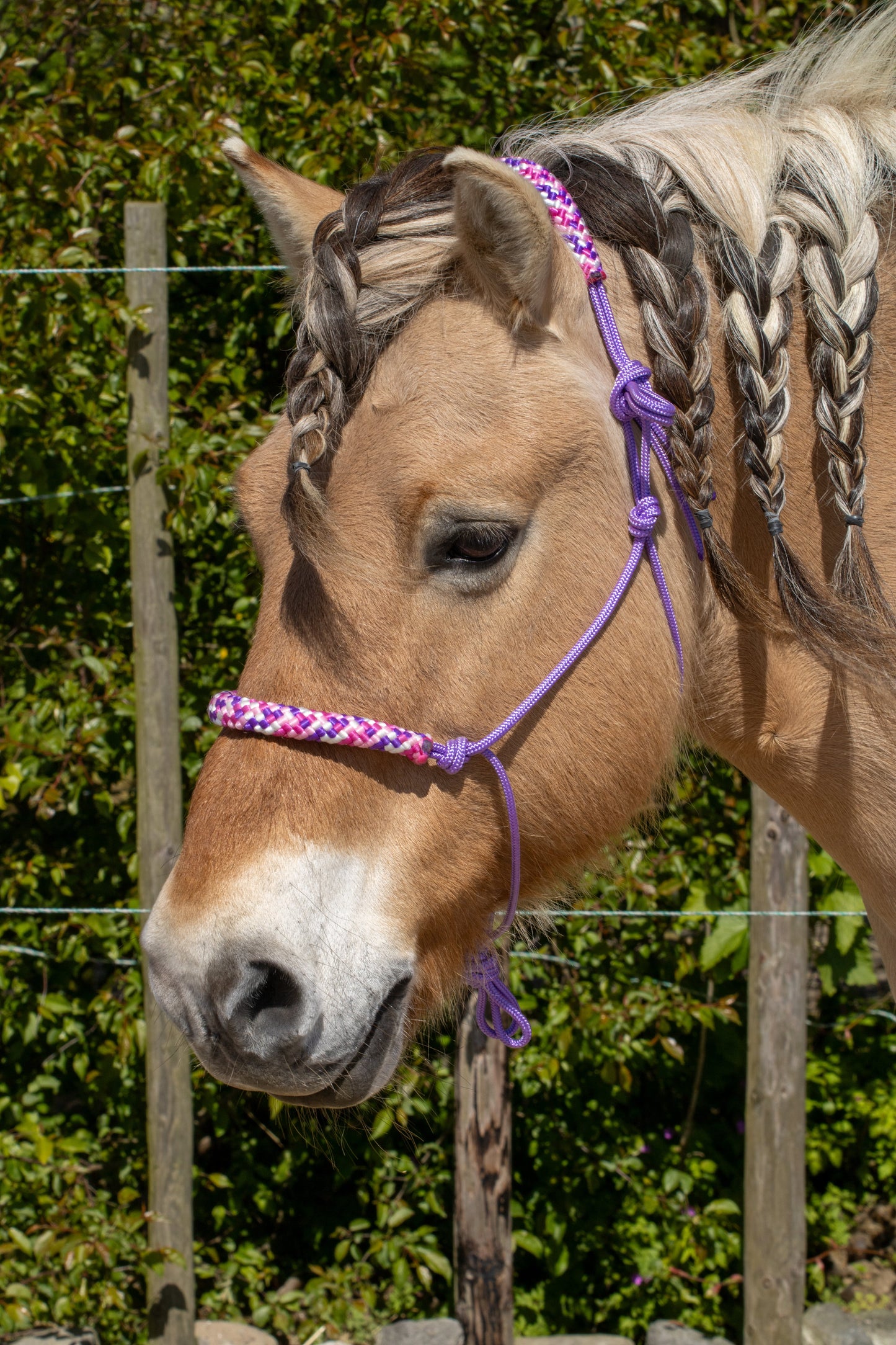 Touwhalster paars met country girl neus en oorband