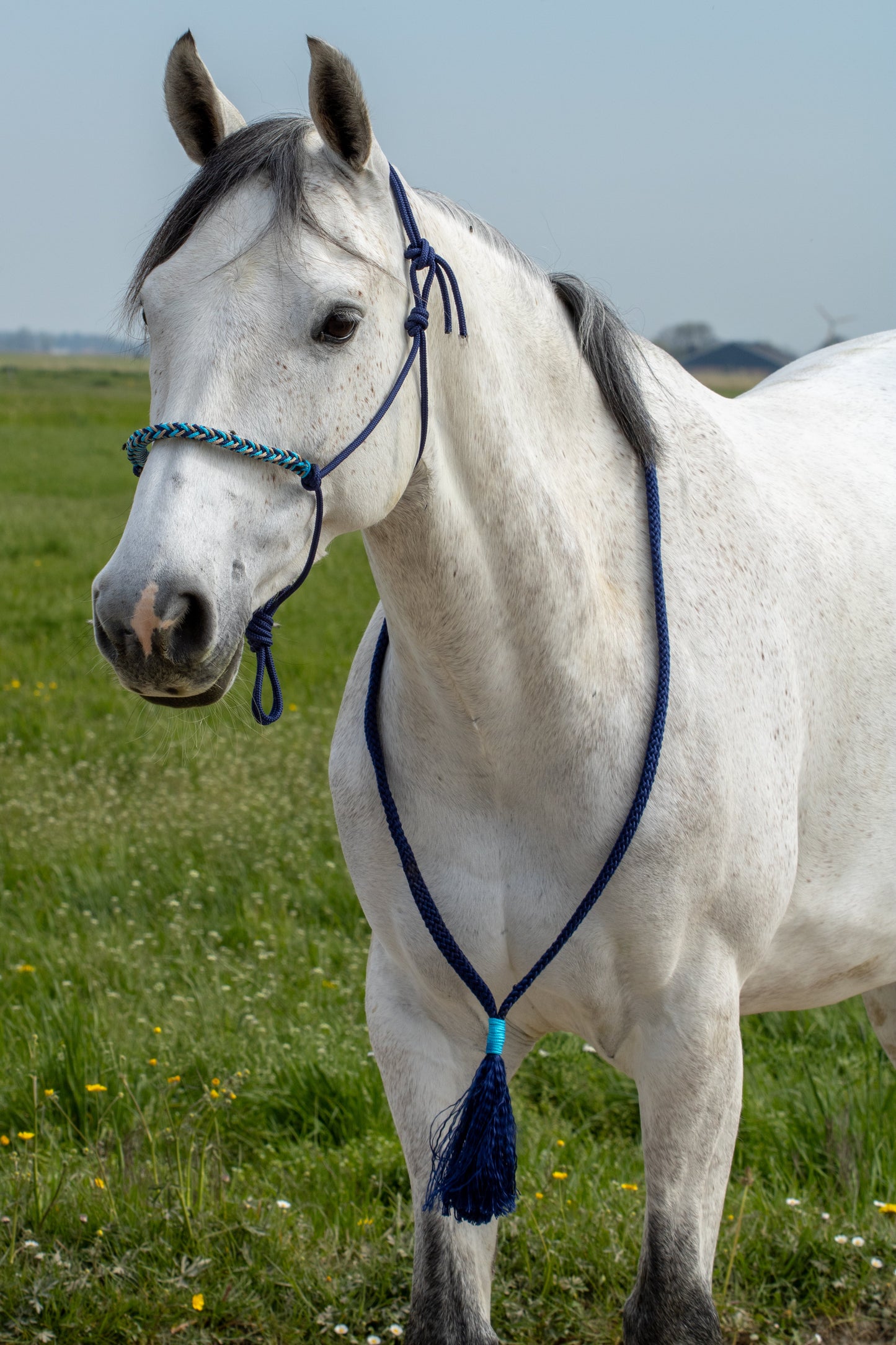 Touwhalster set blue monday