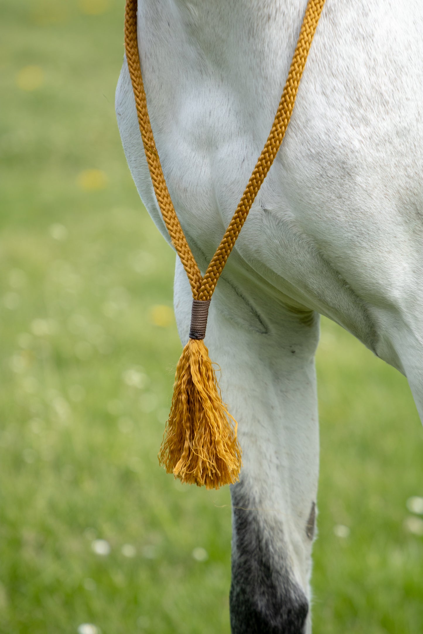 Touwhalster set salted karamel