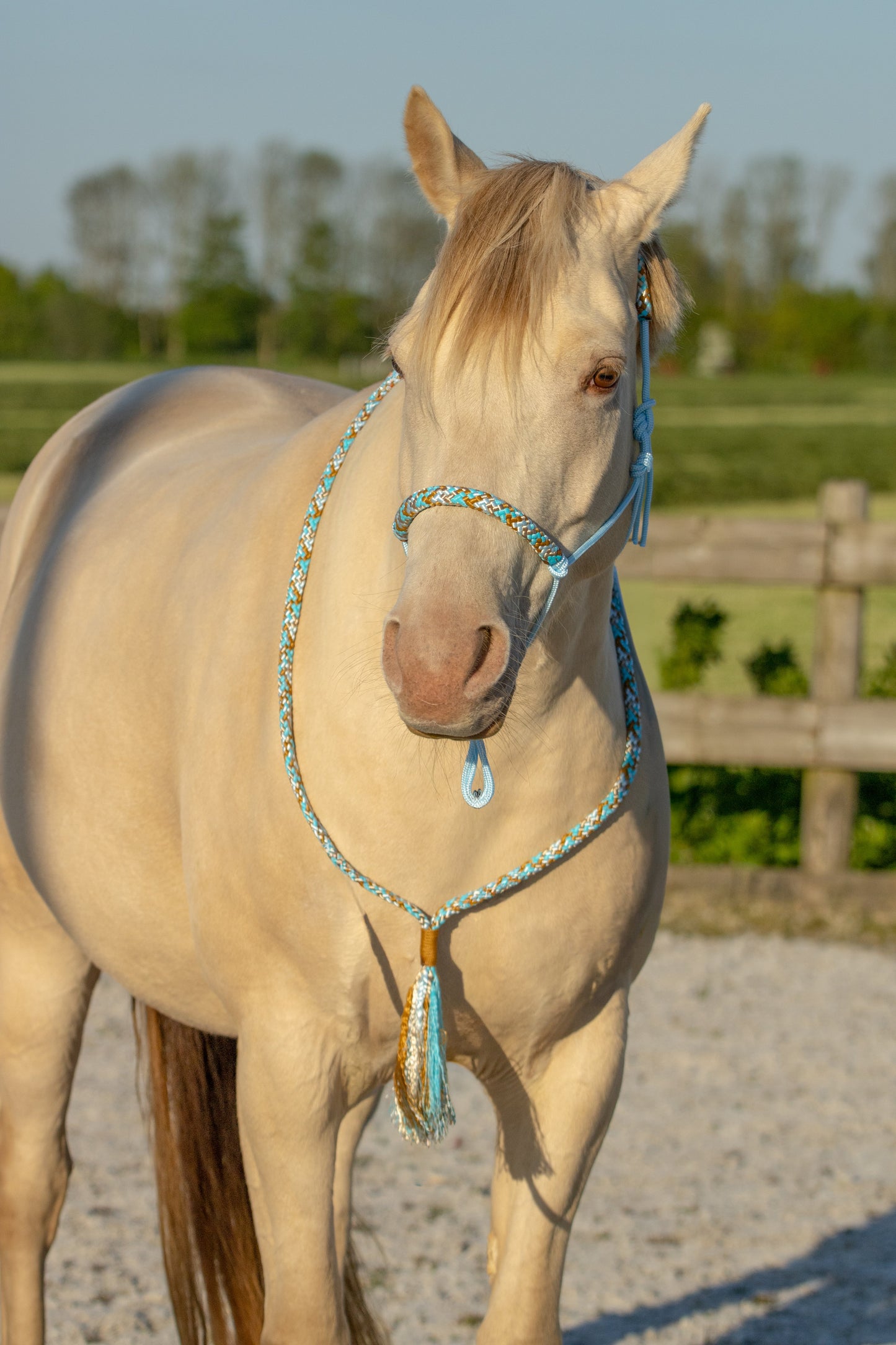 Touwhalster set golden breeze