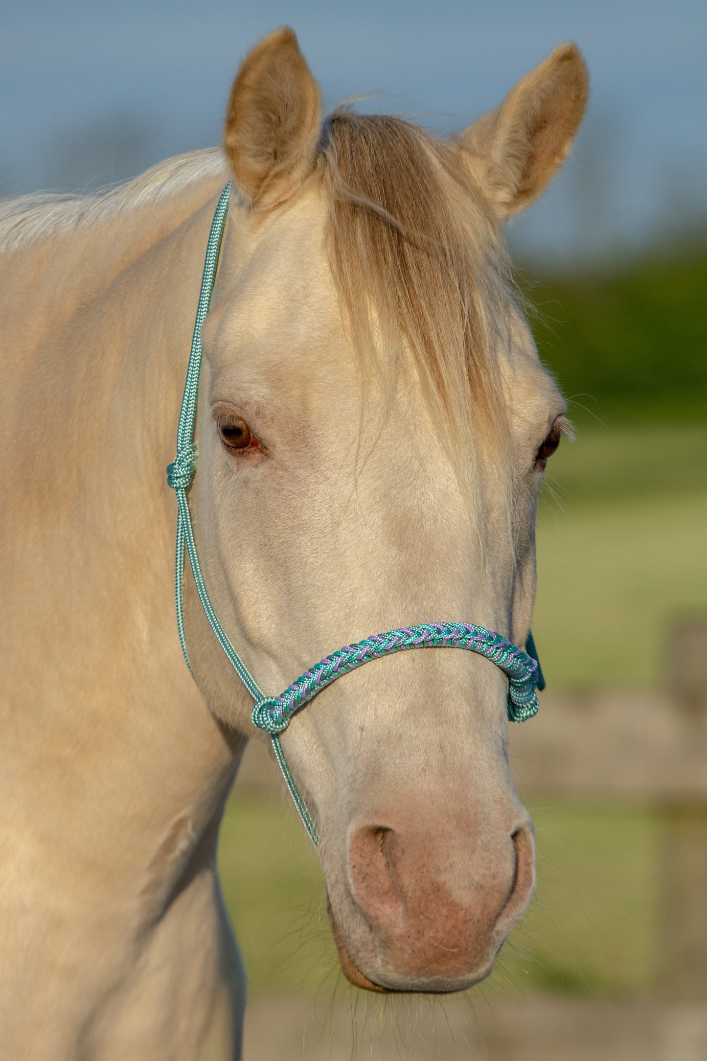 Touwhalster zeegroen, mintgroen en lila