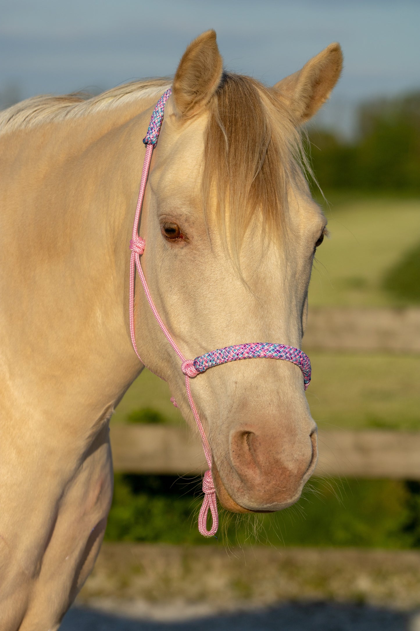 Touwhalster set my little pony