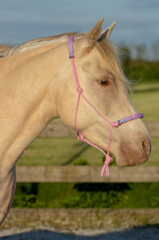 Touwhalster babyroze met rozemix