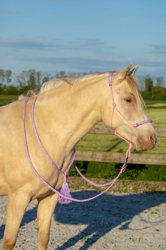 Touwhalster set my little pony