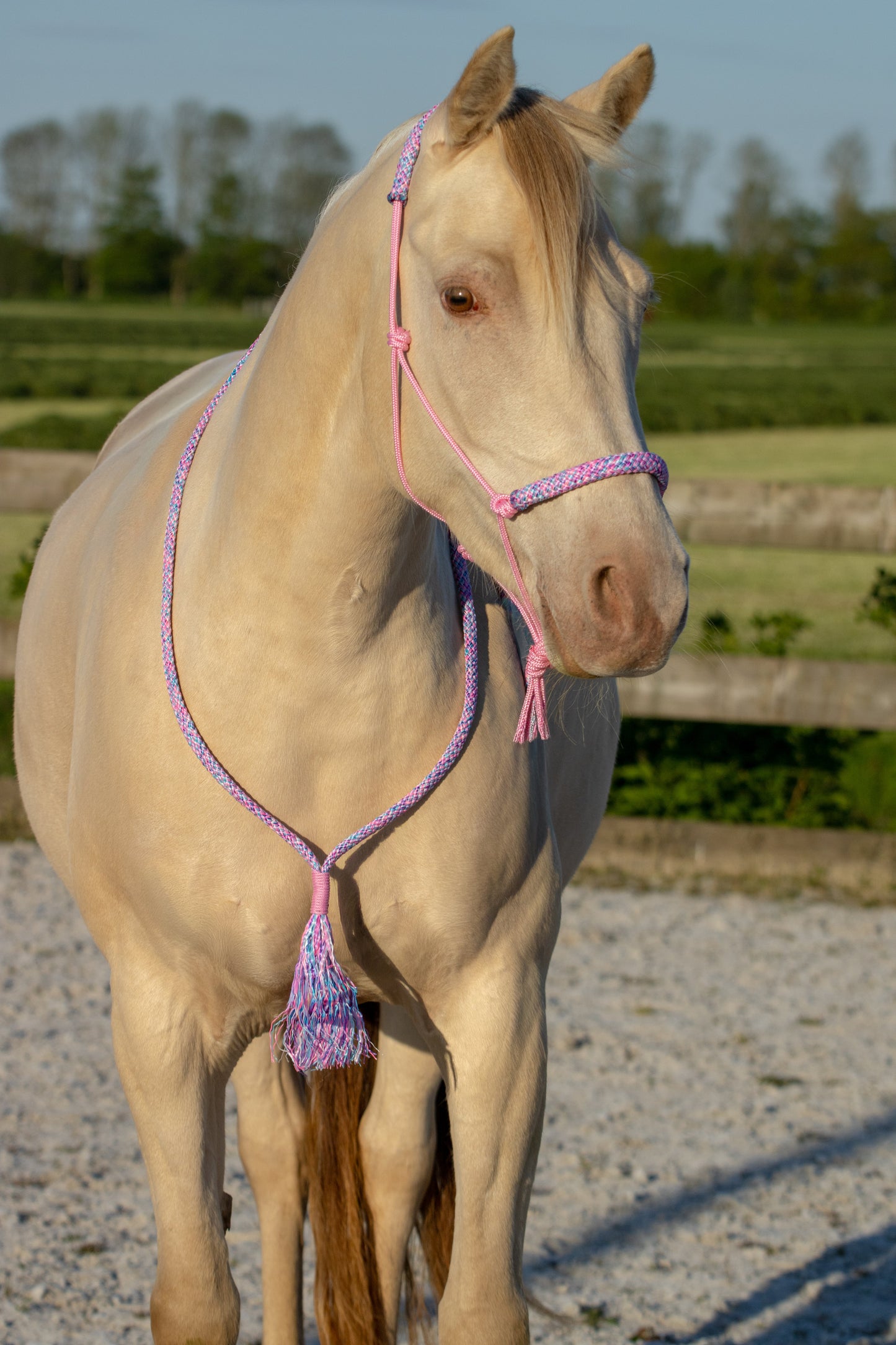 Touwhalster set my little pony