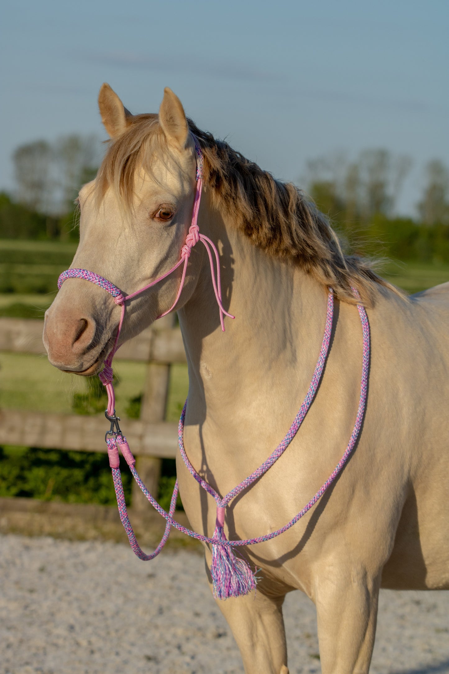 Touwhalster set my little pony