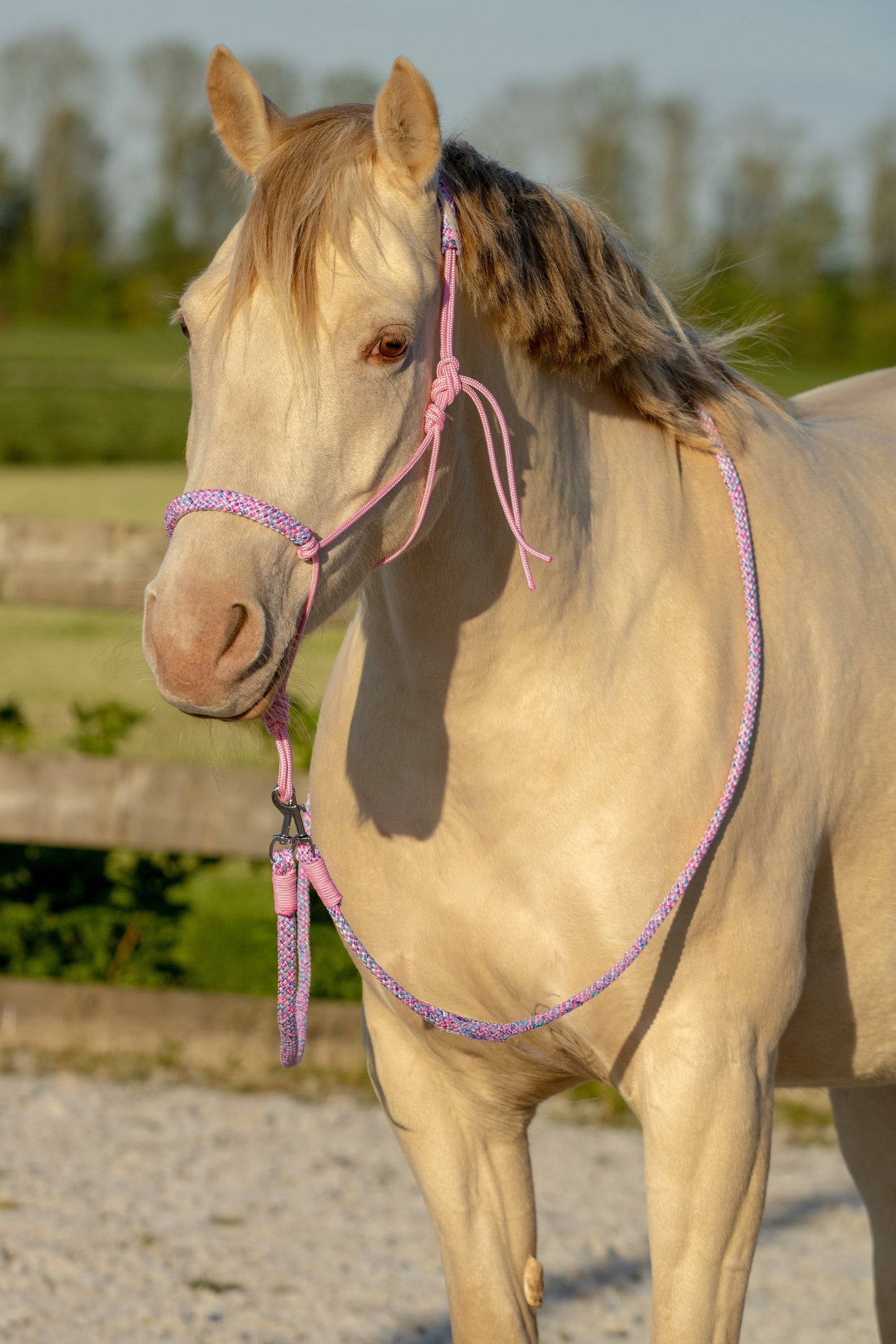 Touwhalster set my little pony