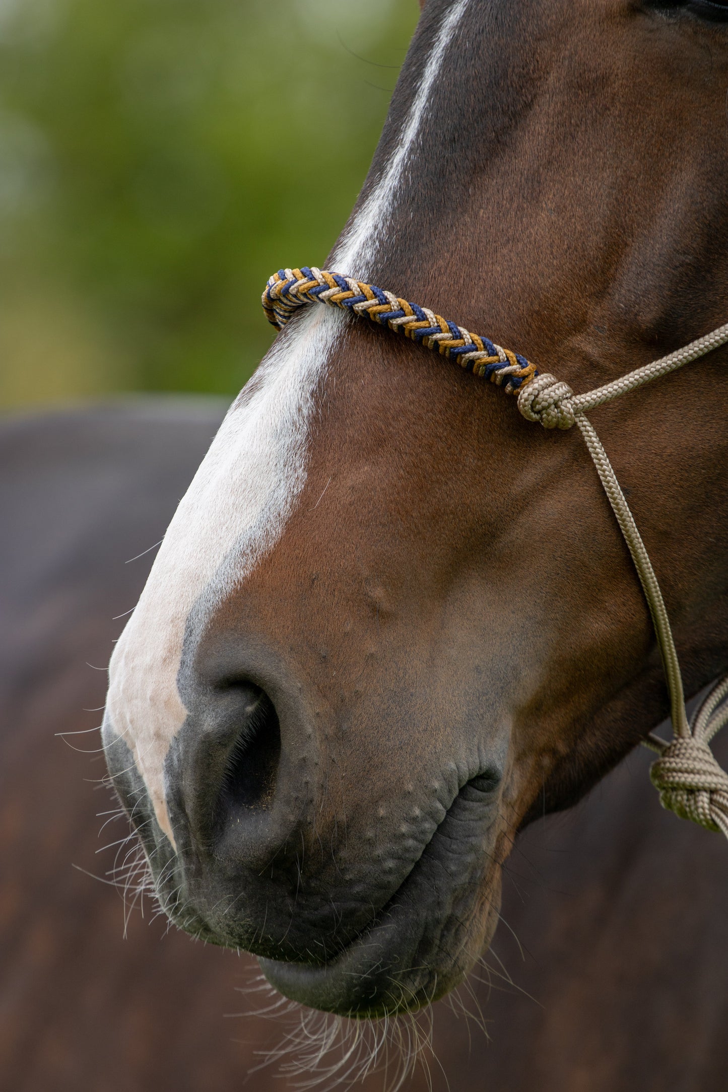 Touwhalster met gevlochten neusband beige, donkerblauw en karamel