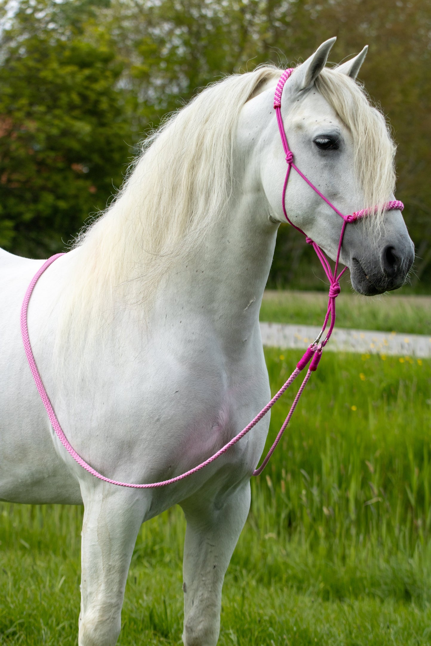 Touwhalster set pink harmony