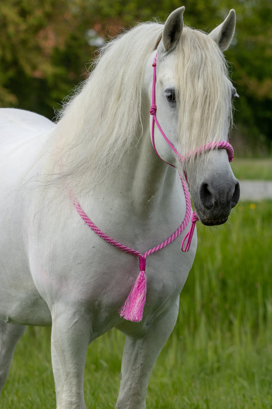 Touwhalster set pink harmony