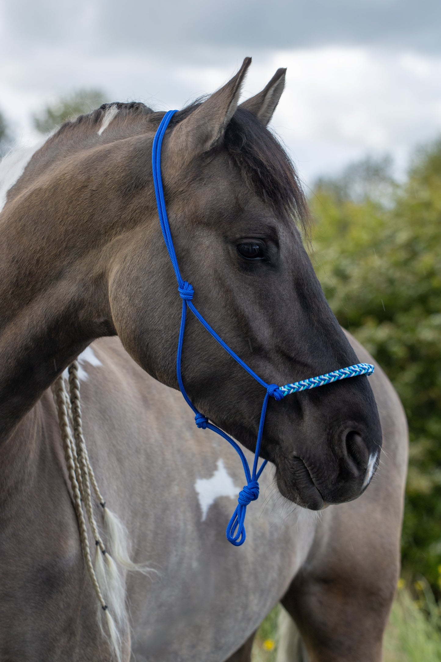 Touwhalster met gevlochten neusband kobalt, wit en turquoise