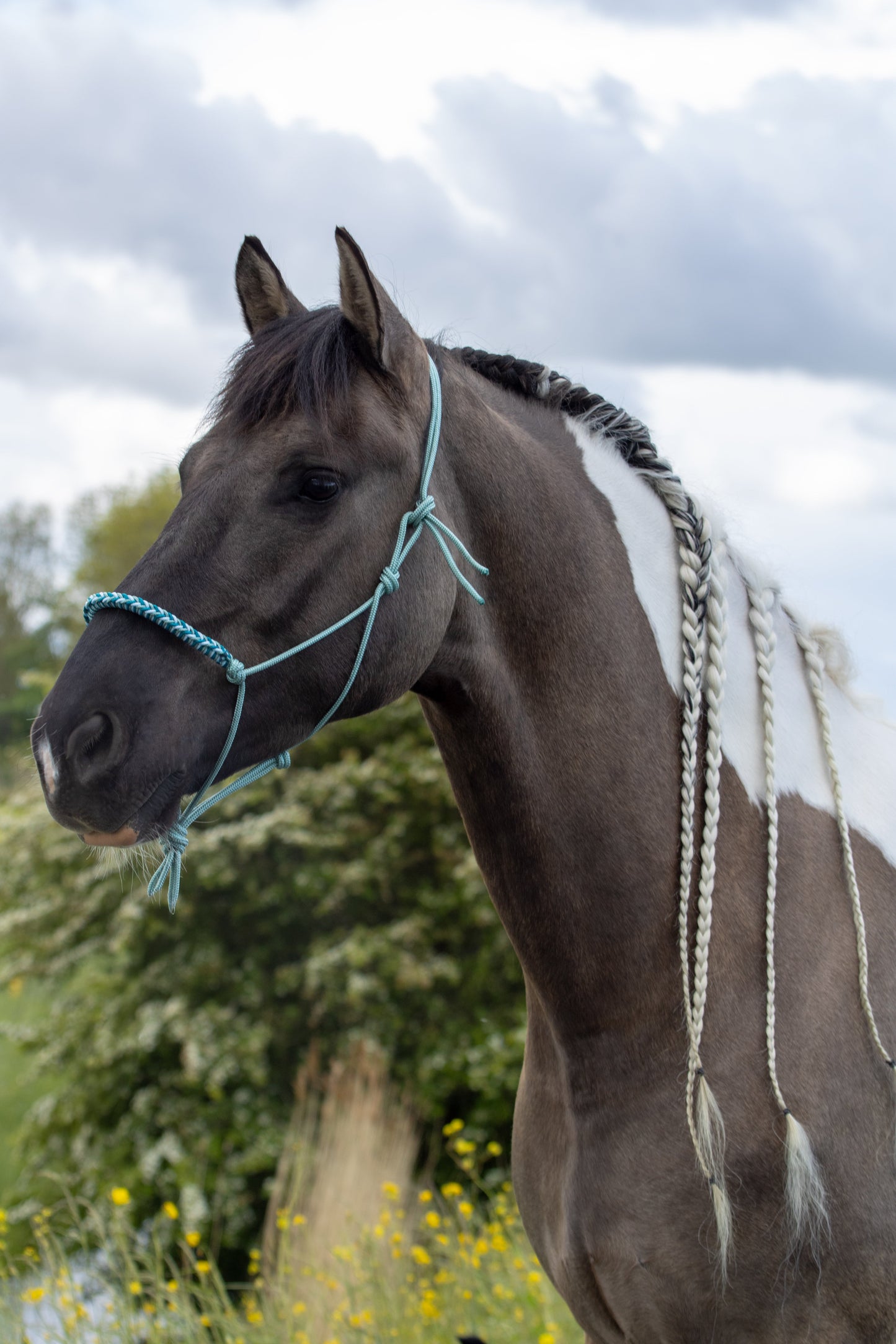 Touwhalster met gevlochten neusband zeegroen, babyblauw en aqua