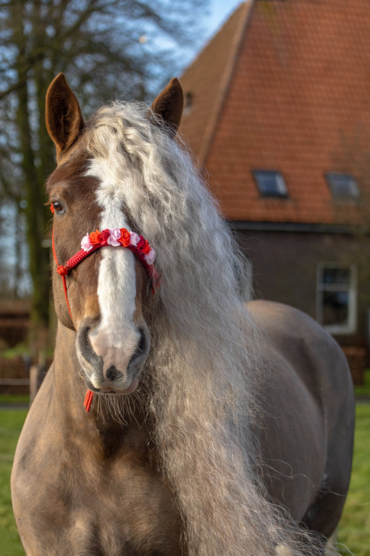 Workshop touwhalster versieren- (locatie in overleg)