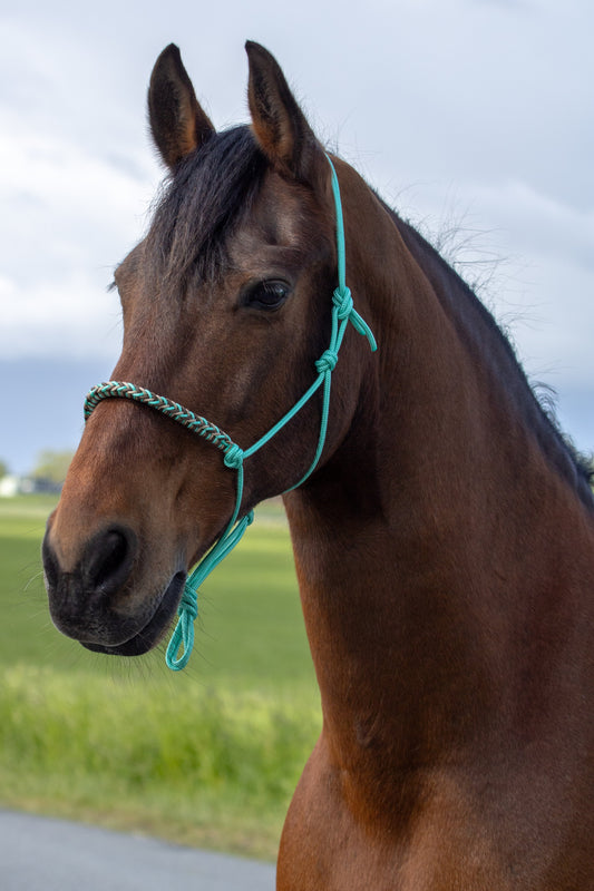 Touwhalster met gevlochten neusband mintgroen, beige en bruin