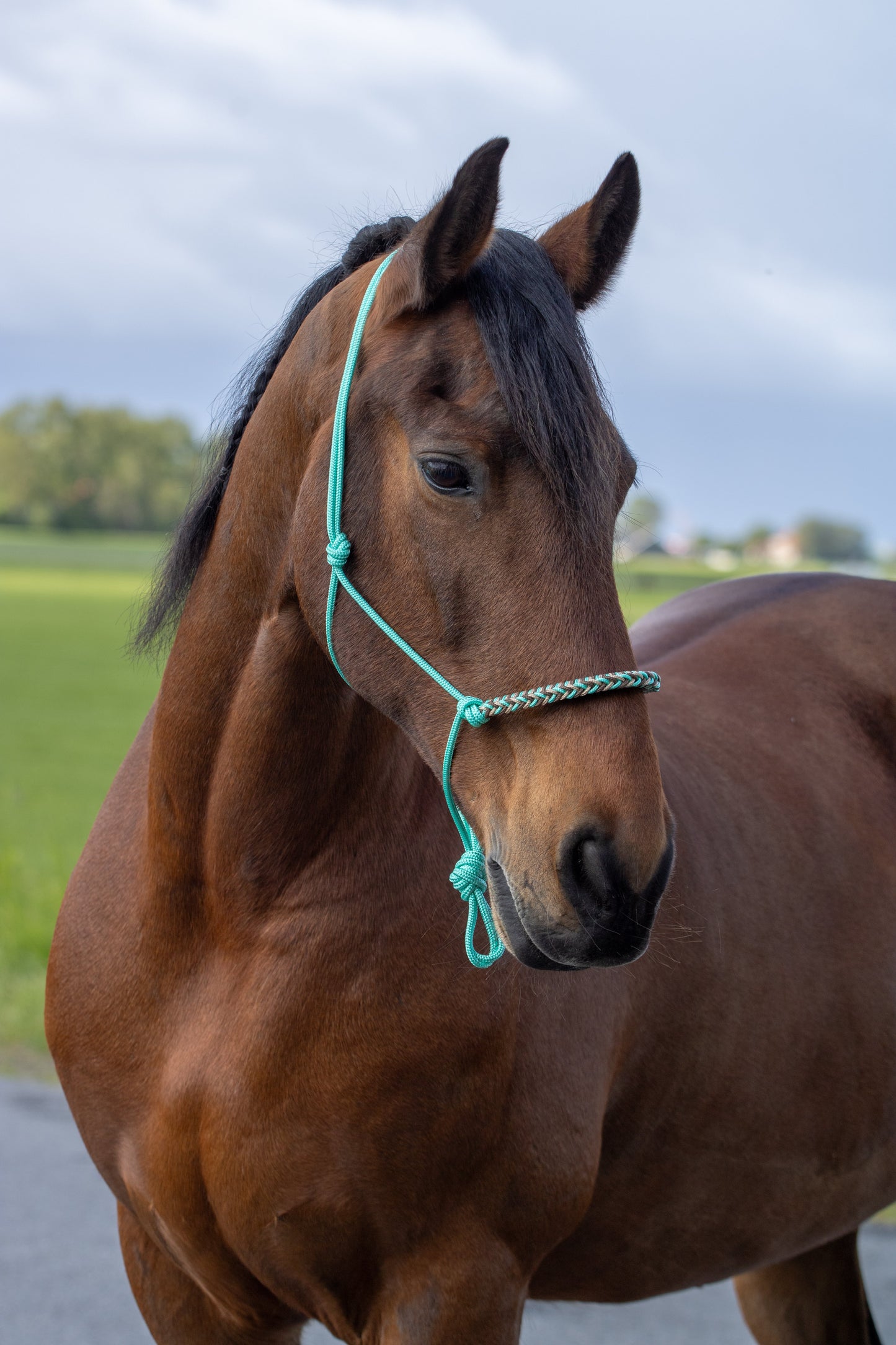 Touwhalster met gevlochten neusband mintgroen, beige en bruin