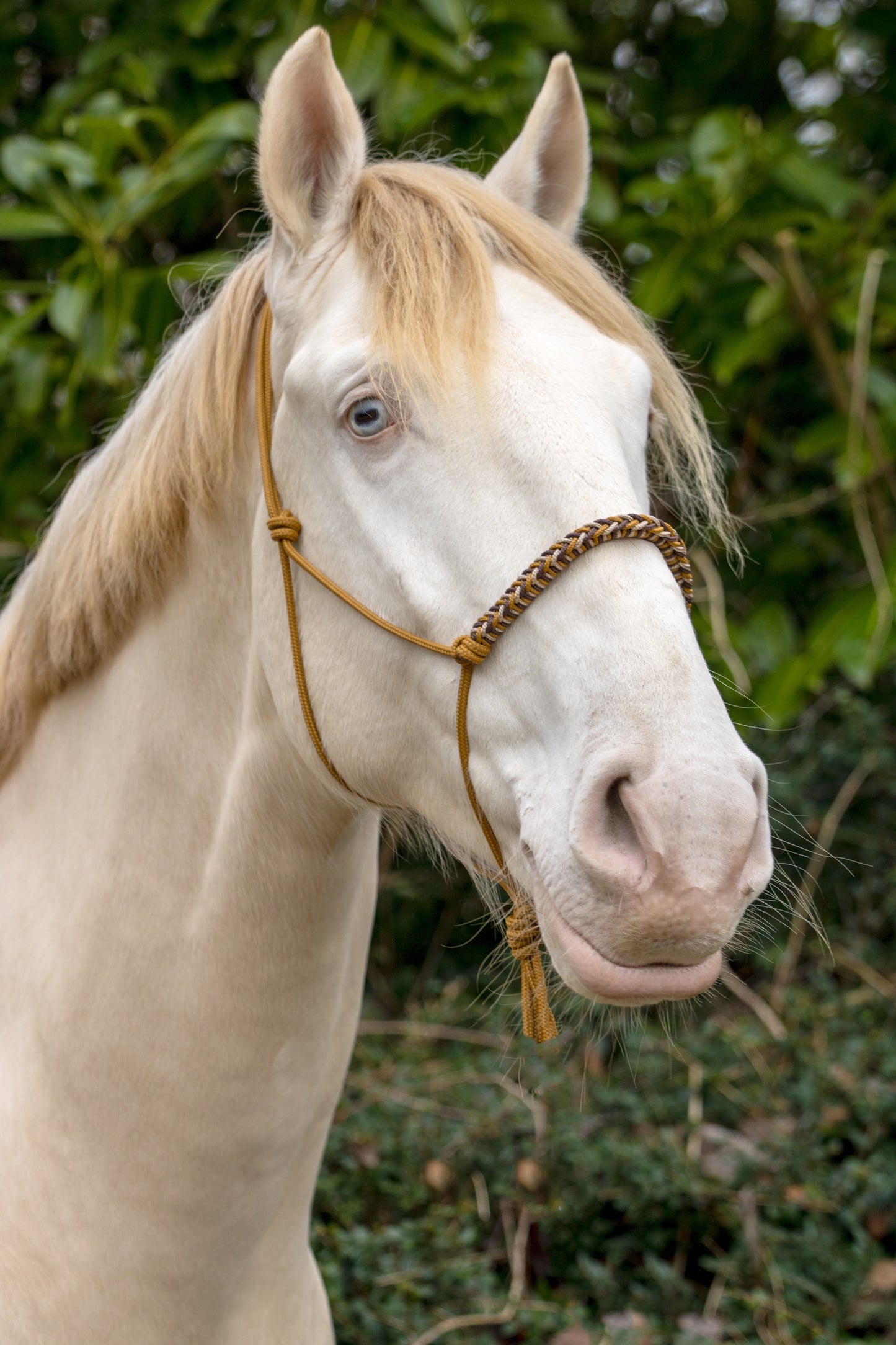 Touwhalster met gevlochten neusband karamel, bruin en beige