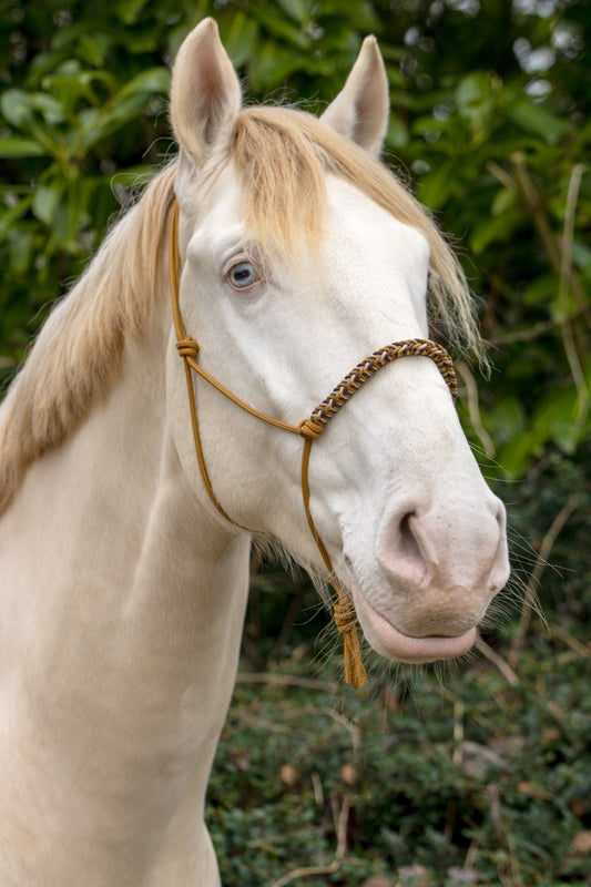 Touwhalster met gevlochten neusband karamel, bruin en beige