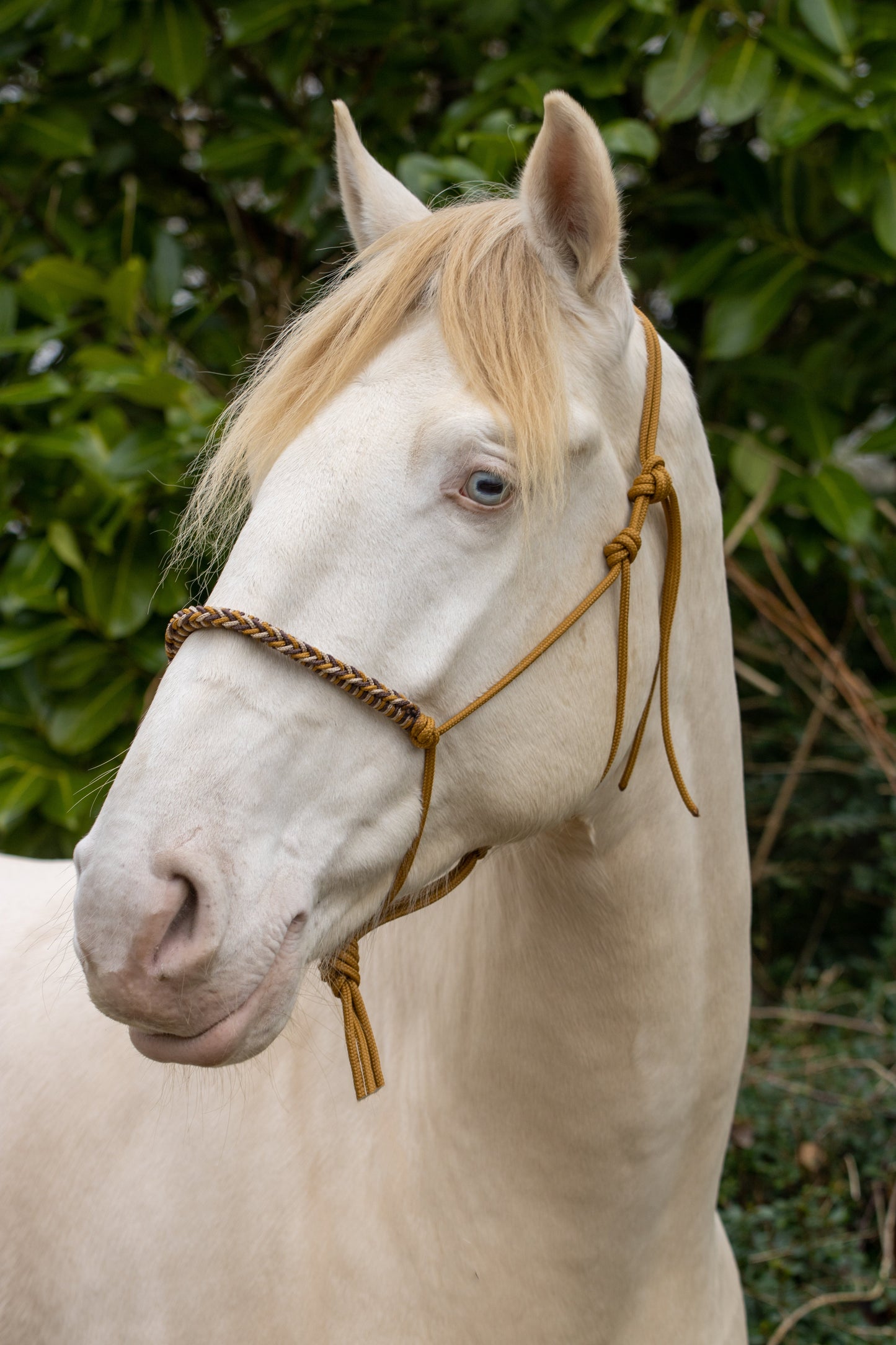 Touwhalster met gevlochten neusband karamel, bruin en beige