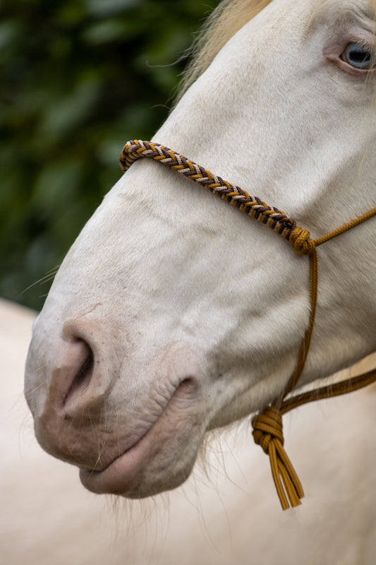 Touwhalster met gevlochten neusband karamel, bruin en beige