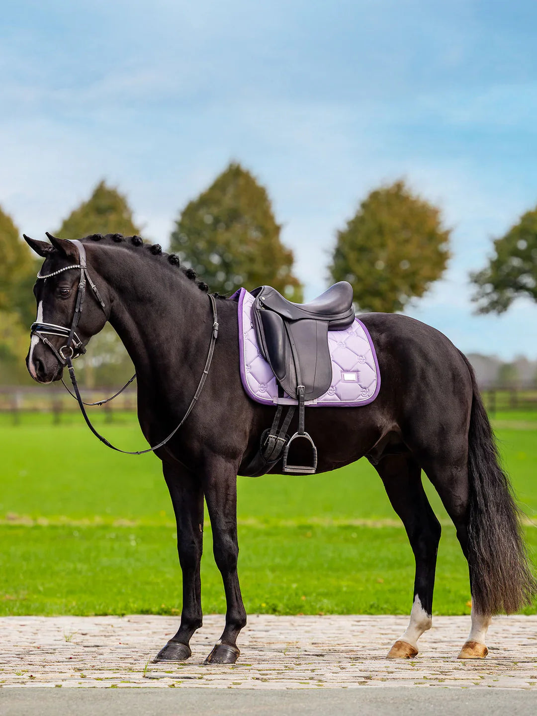 Equestrian Stockholm - SS26 Lavender - Dressage Saddle Pad dressuurzadeldek