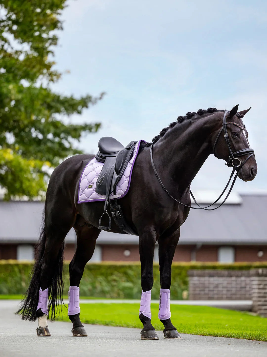Equestrian Stockholm - SS26 Lavender - Dressage Saddle Pad dressuurzadeldek