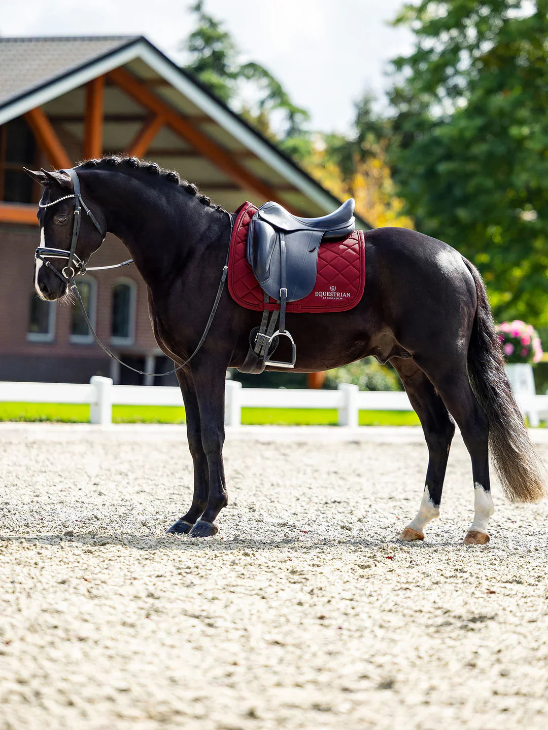 Equestrian Stockholm - Line Collection - Bordeaux Dressage Saddle Pad dressuurzadeldek