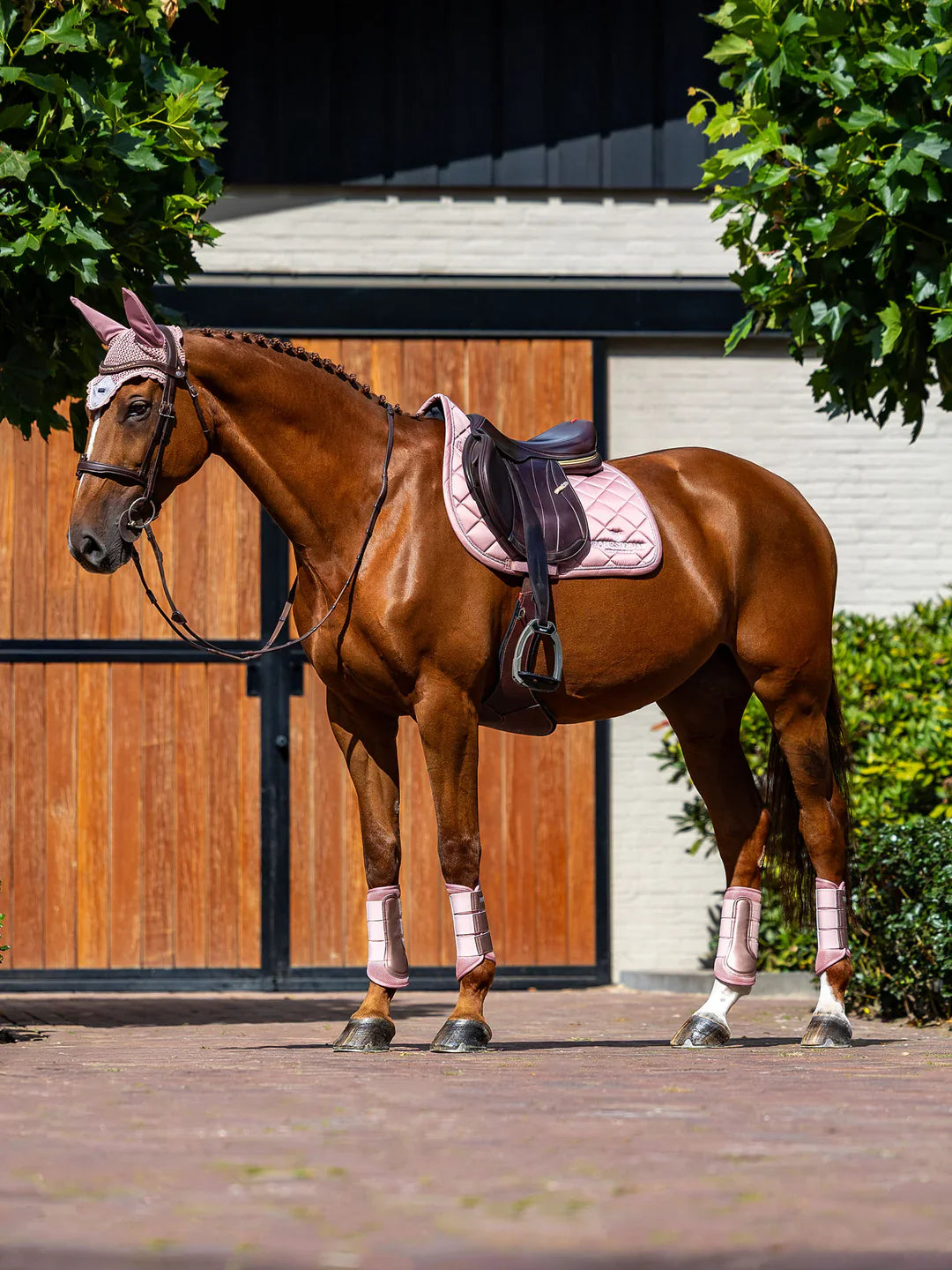 Equestrian Stockholm - Core Collection - Pink Mesh Brushing Boots beenbeschermers