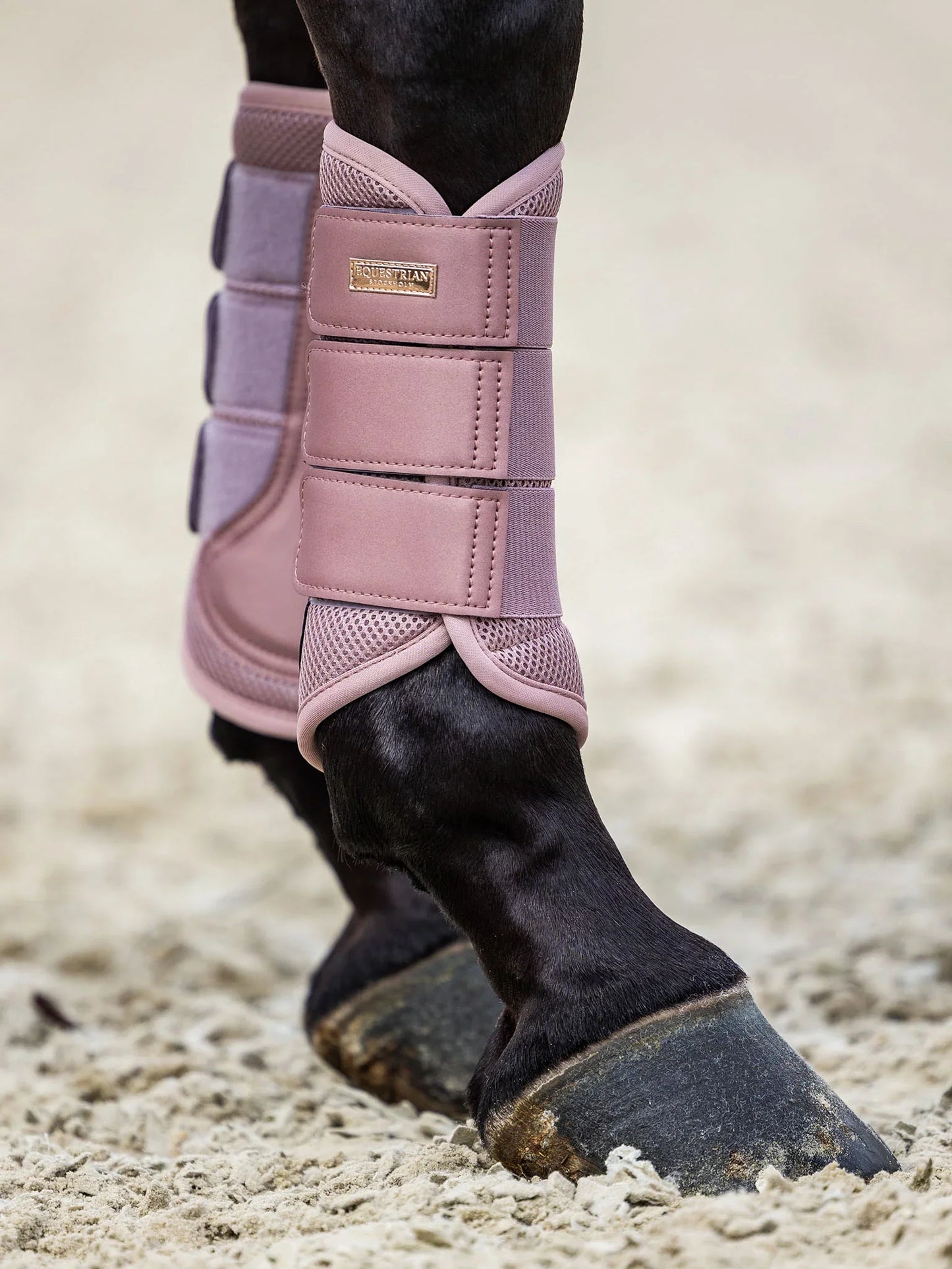 Equestrian Stockholm - Core Collection - Pink Mesh Brushing Boots beenbeschermers