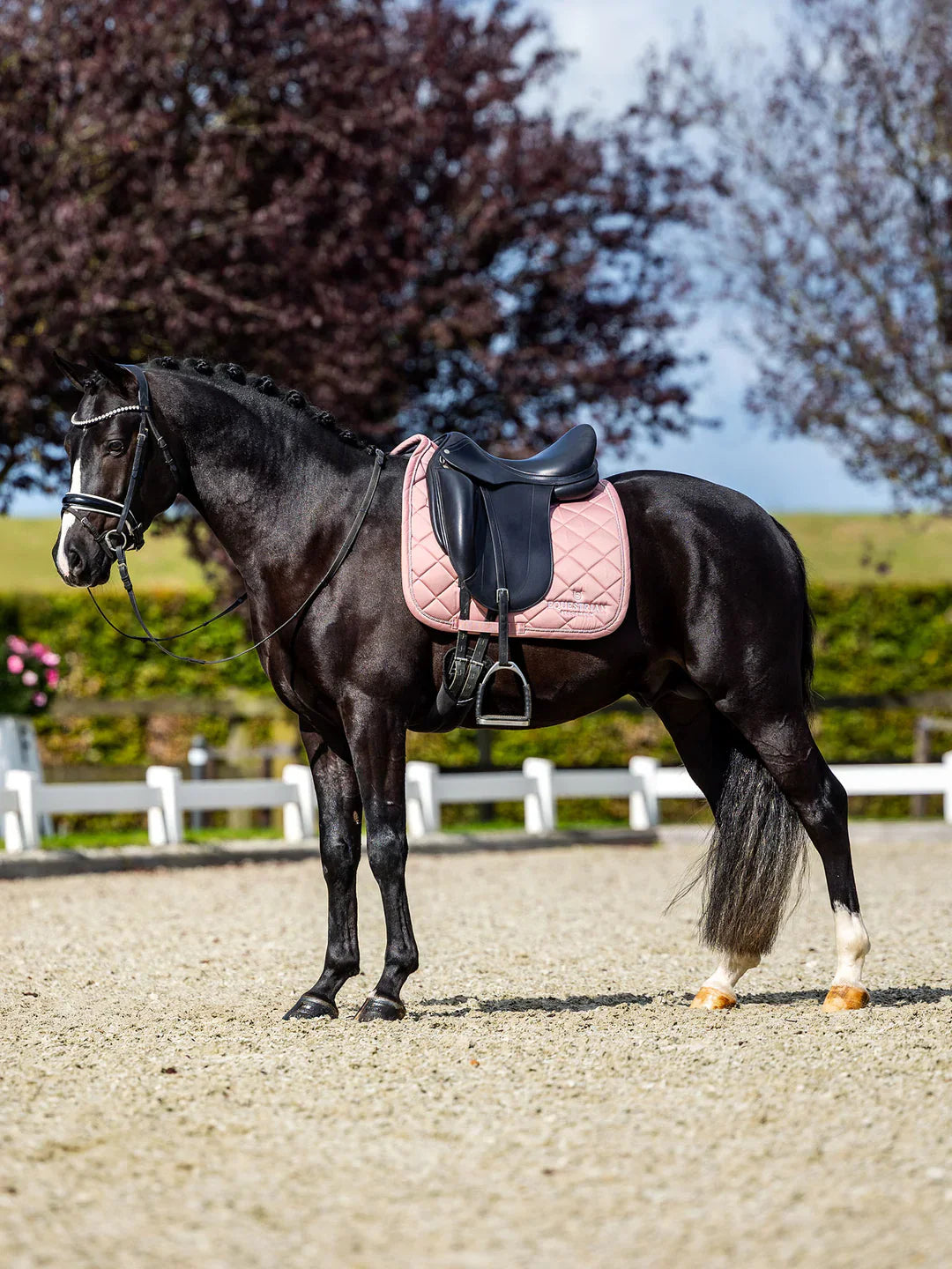 Equestrian Stockholm - Line Collection - Pink Dressage Saddle Pad dressuurzadeldek