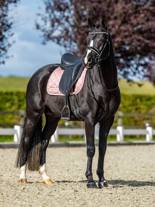 Equestrian Stockholm - Line Collection - Pink Dressage Saddle Pad dressuurzadeldek